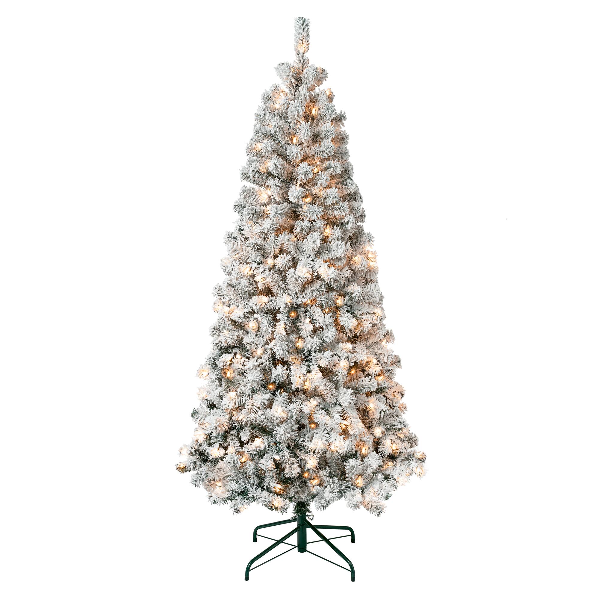 6ft. Pre-Lit Acacia Flocked Artificial Christmas Tree, Clear Lights